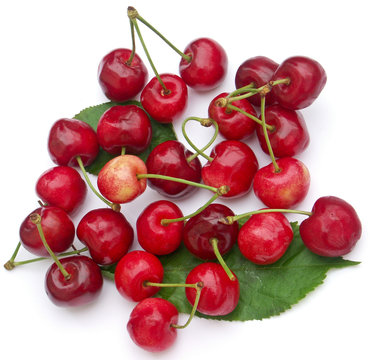 cerises