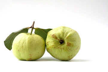 fresh guava fruit