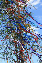 Maibaum