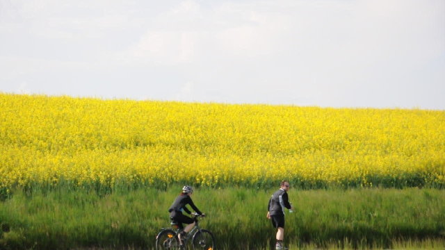 Radfahren und Inlineskating