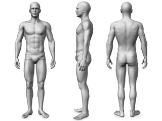 Muurstickers male body © www.hyper.ac
