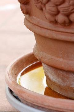 Ristagno di acqua in sottovaso