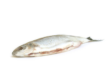 poisson