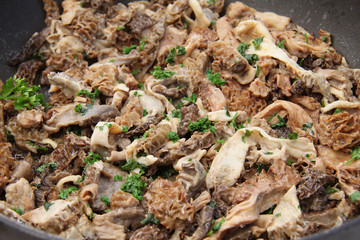 Morilles