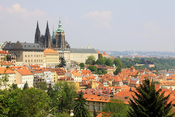 Fototapeta premium View on the spring Prague gothic Castle with the green Nature