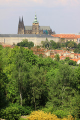 Fototapeta premium Widok na wiosnę Gotycki Zamek Praski z zieloną przyrodą