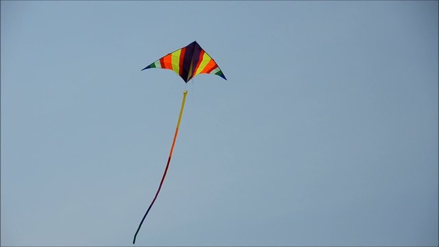 Drachenfest