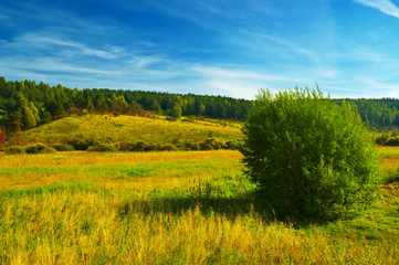 autumn landscape