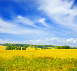 Autumn landscape