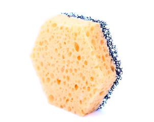 sponge