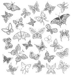 Set  black white butterflies of a tattoo