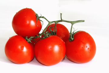 salkım domates