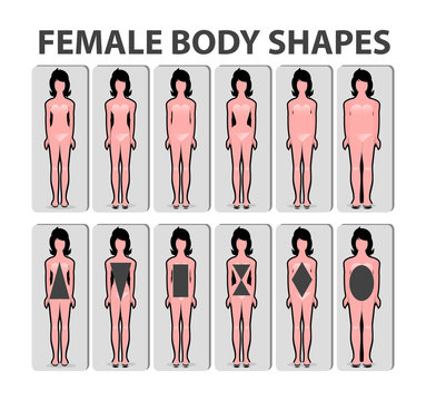 Female body shape or figure types. Woman collection. Body propor