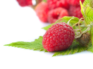 Raspberries