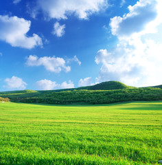 .Green meadow in mountain