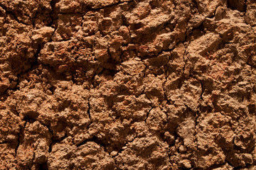 drought soil
