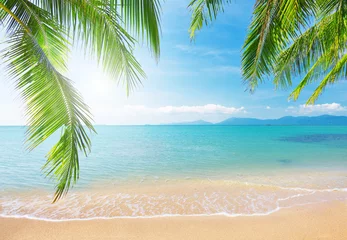 Fotobehang Strand en zee Palm en tropisch strand