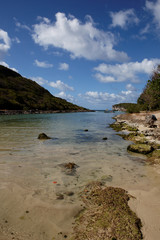 petite crique à la Guadeloupe
