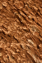 Close up rock