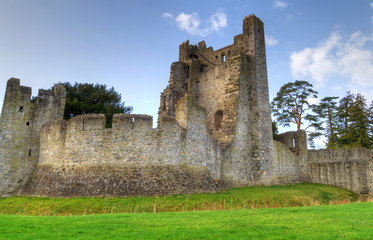 Fototapeta na wymiar HDR wnętrz Adare Castle - Irlandia
