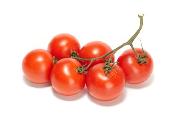 fresh tomatoes