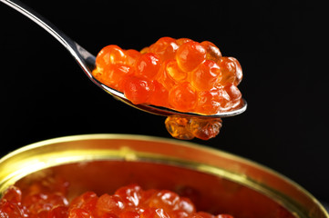 Salmon caviar close-up