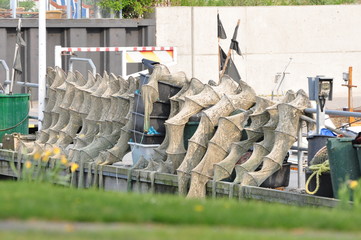 reusen beim fischer