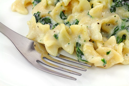 Ricotta Cheese Spinach Pasta On Plate With Fork