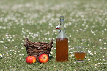 cidre,pomme,jus,bretagne,normandie,tonneau,bouteille