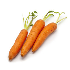 Fresh Carrots on White Background