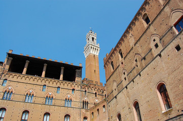 Fototapeta premium siena piazza mercato