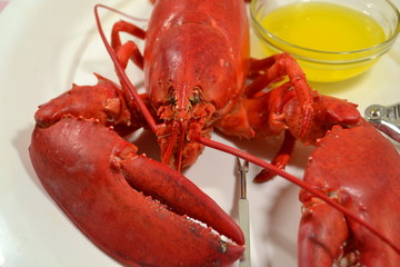 Steamed Lobster with Butter
