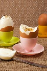 Eier