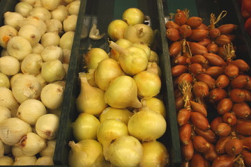 Display onion, etalage d oignons