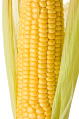 Corn