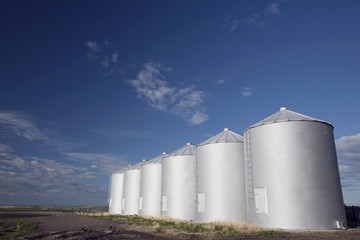 Row Of Metal Silos