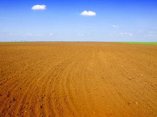 Fototapeta premium Plowed field