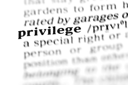 privilege (the dictionary project)
