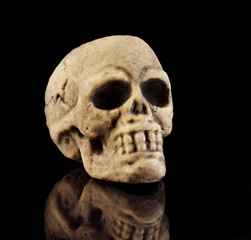 Halloween Skull on black