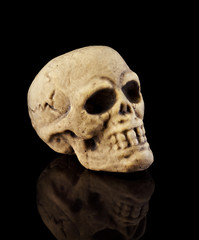 Obraz premium Halloween Skull on black