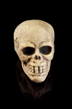 Halloween Skull on black