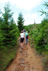 Obraz premium Family hiking in the Harz