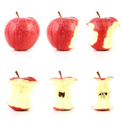 Mangez des pommes ! (variété gala) #1 - obrazy, fototapety, plakaty