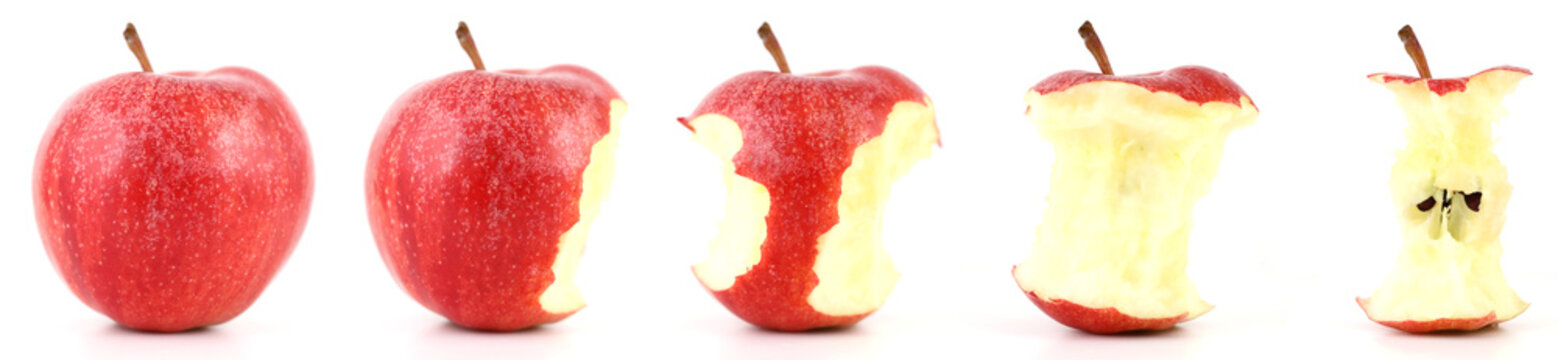 Mangez des pommes ! (vari&eacute;t&eacute; gala) #2