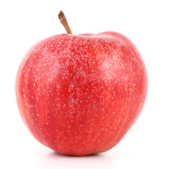 Pomme Gala (Agriculture Biologique)