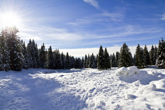 Paesaggio alpino innevato