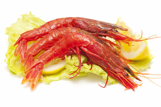 seafood