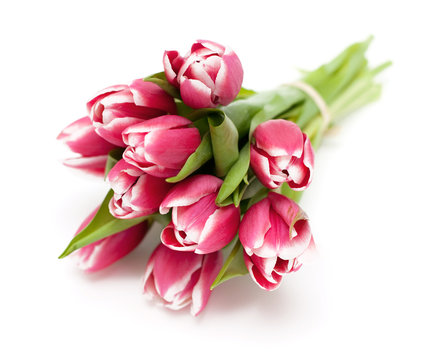 bunch of pink tied tulips