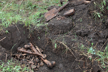 неизвестный солдат