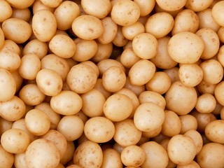 New potatoes, washed and ready for sale